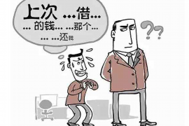 湘西企业清欠服务